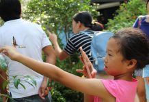 Have A Fluttering Encounter At Singapore Zoo’s Fragile Forest Butterfly Aviary Have A Fluttering Encounter At Singapore Zoo’s Fragile Forest Butterfly Aviary