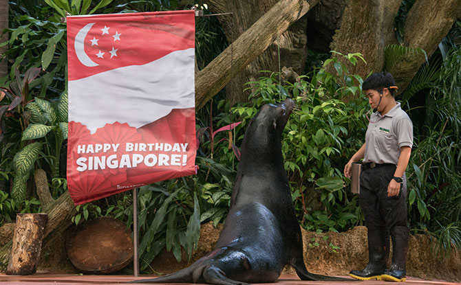 Celebrate at Singapore Zoo, River Safari and Jurong Bird Park