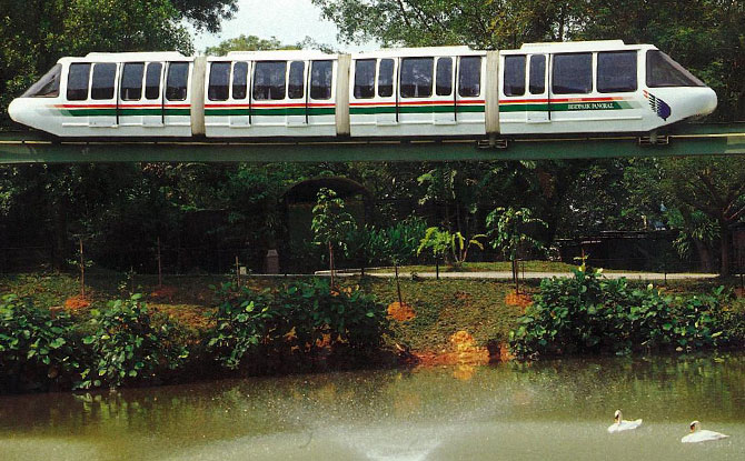 A Flight to Remember at Jurong Bird Park