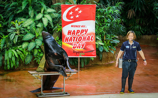 Things to Do for National Day 2018 in Singapore