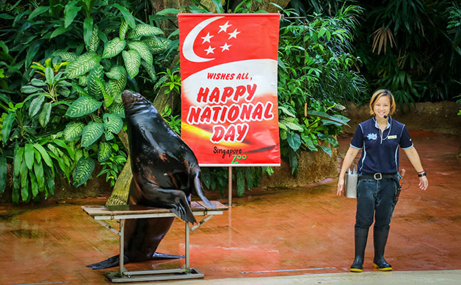 Singapore National Day Promotions 2019: We Love A Good Deal! 3 Things to Do for National Day 2018 in Singapore