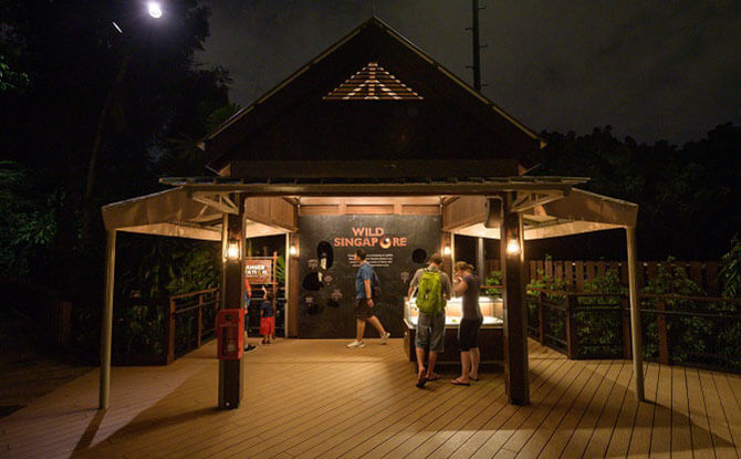 The Explorer Outpost at Night Safari Singapore