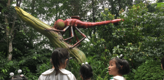 Land of Giants at Singapore Zoo