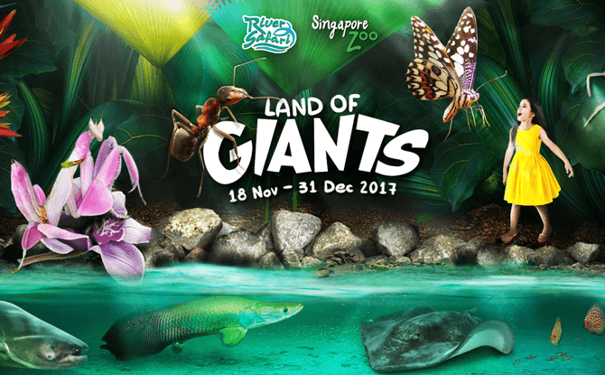 Land of Giants, November and December School Holidays 2017 at Singapore Zoo and River Safari