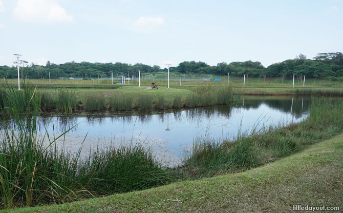 Lorong Halus Wetland: From Landfill To Landscape Lorong Halus Wetland