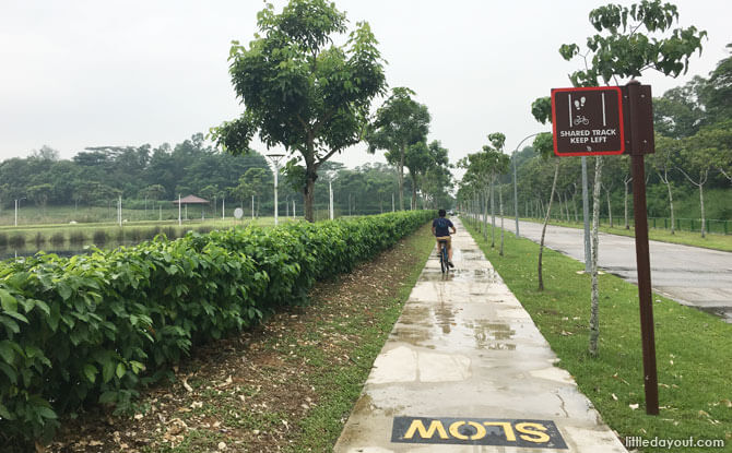 Park Connector from Lorong Halus to Pasir Ris Town