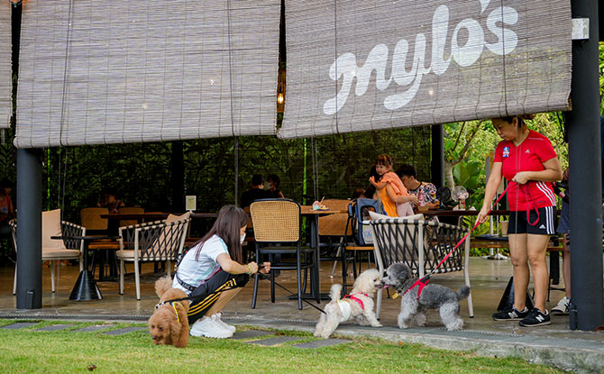 Mylo’s at Active Garden