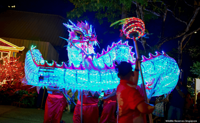 Electricfying Dragon Dance at Night Safari - Lunar New Year 2018