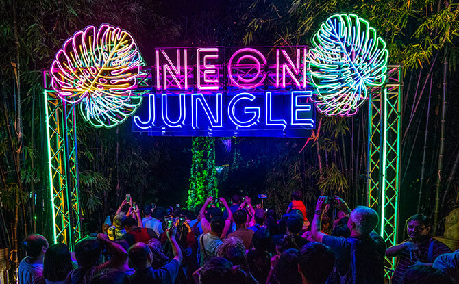e-Neon-Jungle