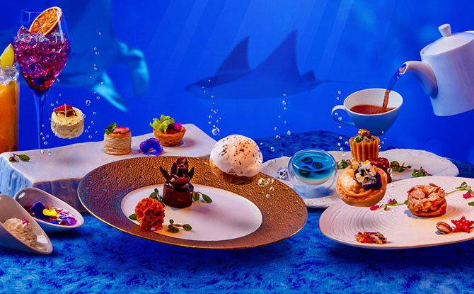 High Tea In the Deep Sea: Dine With An Underwater View At S.E.A Aquarium