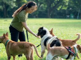 e-Pets’ Day Out (22 August 2020)