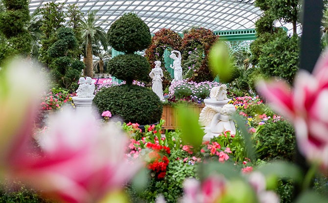 “A Bit Of England” Caps Off The Pocket Garden Surprise Series At The Flower Dome