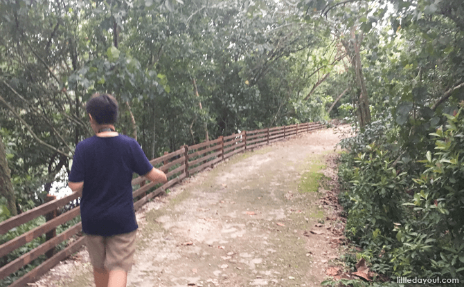 Track at Sungei Buloh Wetland Reserve