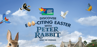 Peter Rabbit at Jurong Bird Park