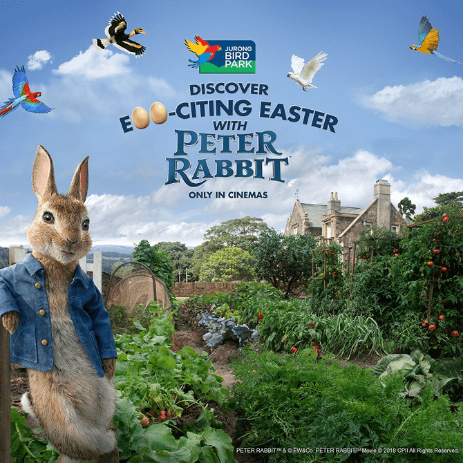 Peter Rabbit at Jurong Bird Park