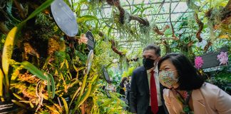 "Orchids Of Costa Rica – Resilient Beauty": Interesting Orchids Showcased At Cloud Forest