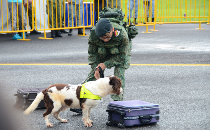 RSAF50@Heartlands in Punggol