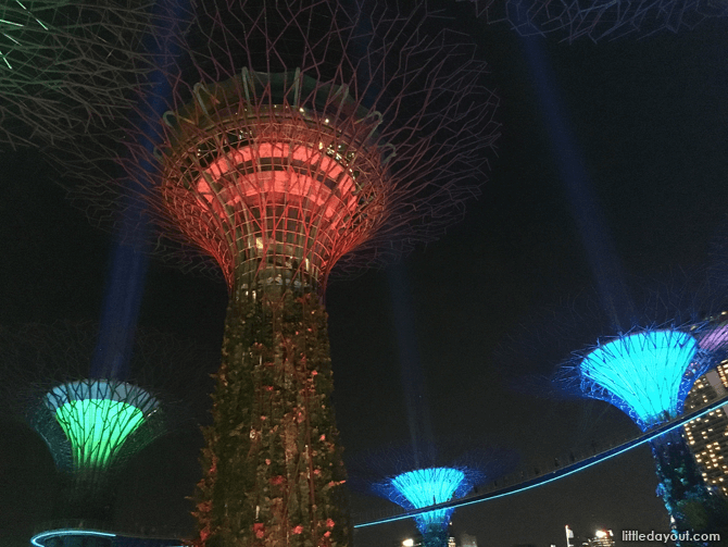 Sabertrees, Gardens by the Bay, Supertree Grove