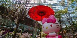Sakura Featuring Hello Kitty Extended Till 11 April 2021