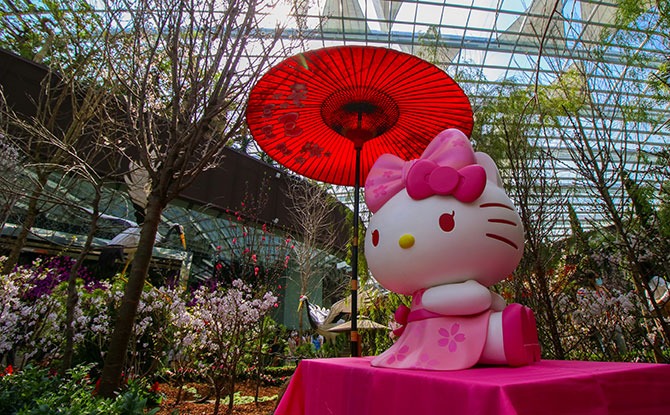 Sakura Featuring Hello Kitty Extended Till 11 April 2021
