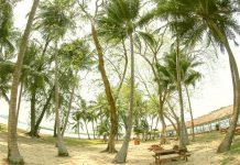 Southern Islands: The Quick Guide To Island-Hopping With Kids The Quick Guide To Island-Hopping With Kids