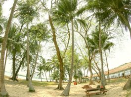 The Quick Guide To Island-Hopping With Kids