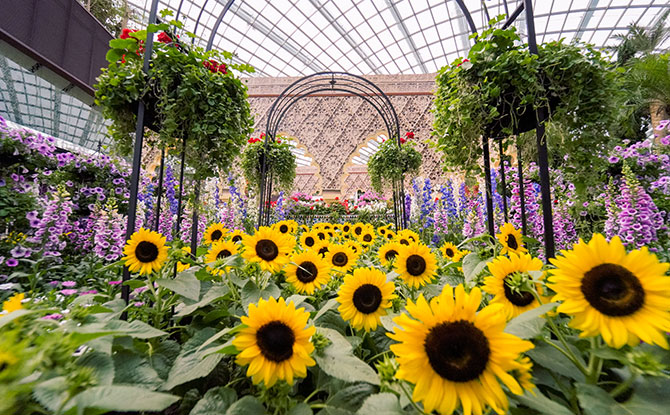 Flower Dome & Flemenco Sin Fronteras at Gardens by the Bay