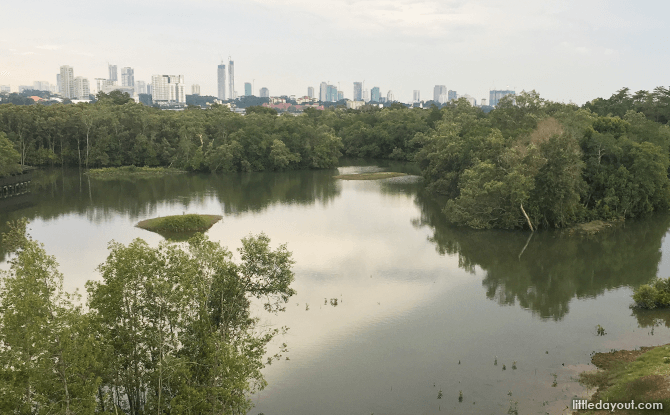 World Wetlands Day In Singapore: Activities At Sungei Buloh