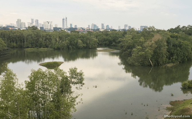 Buloh Tidal Ponds, Sungei Buloh, Singapore