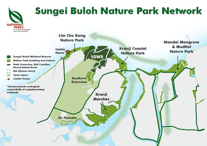 Sungei Buloh Nature Park Network: Strengthening The Green Spaces Along Singapore’s Northern Coast