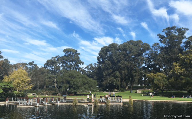 Synergy Parkland in Kings Park Synergy Parkland, Kings Park, Perth