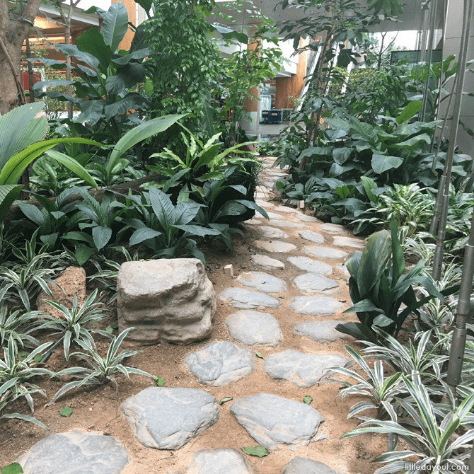 Hidden garden at Changi Airport T2, Arrival Hall