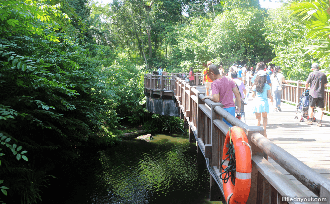 Treetop Walk, Singapore Zoo