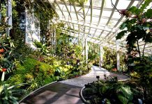 Free Entry To National Orchid Garden: November 2024 School Holidays Promotion At The Singapore Botanic Gardens National Orchid Garden School Holidays Promotion: Enjoy Free Entry To The Singapore Botanic Gardens Attraction