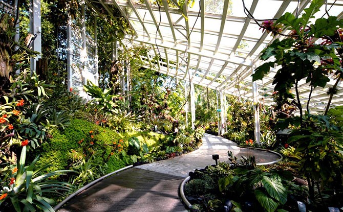 Tropical Montane Orchidetum Opens At National Orchid Garden: “Ascend A ...