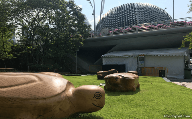 Timber Turtles at Esplanade Park