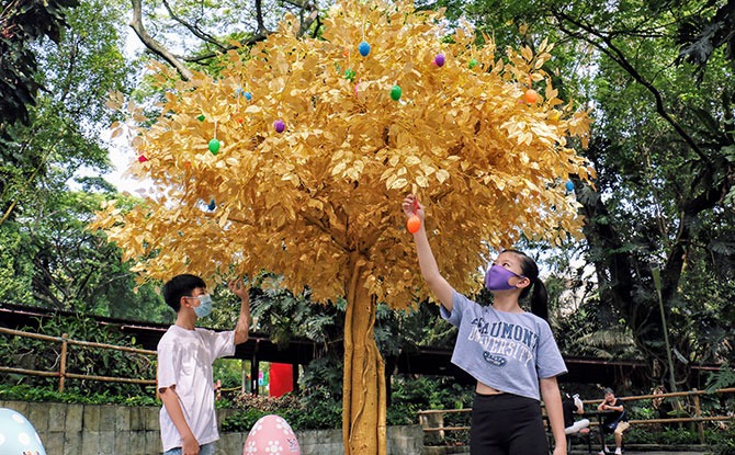 Easter-themed Playground