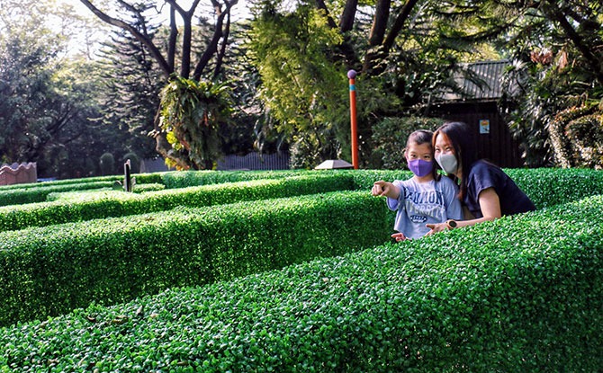 Jubilee Maze at Jurong Bird Park