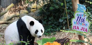 e-WRS_RS_Img2_JiaJia