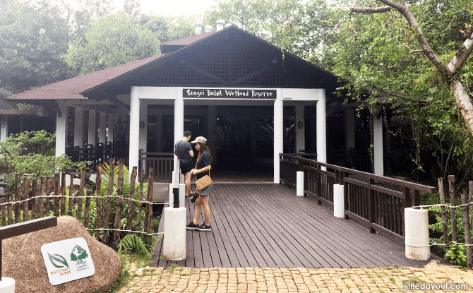 5 Essentials to Bring to Sungei Buloh Wetland Reserve 2 Sungei Buloh Wetland Centre