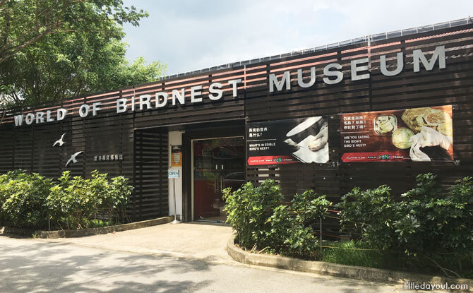 World of Birdnest Museum