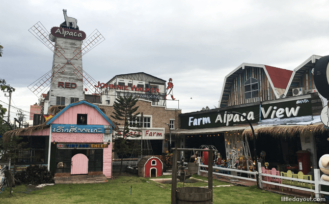 Alpaca View Farm & Cuisine Bangkok Alpaca View Bangkok