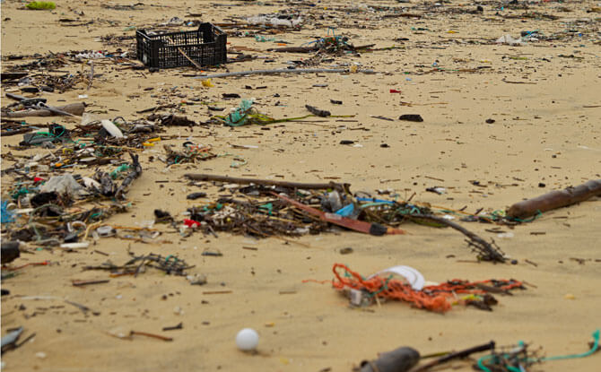 Litter on a beach