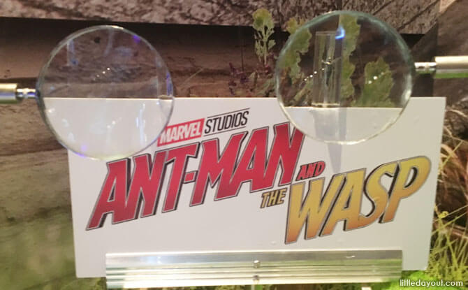 Ant-Man and the Wasp