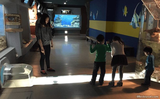 Inside the Otaru Aquarium