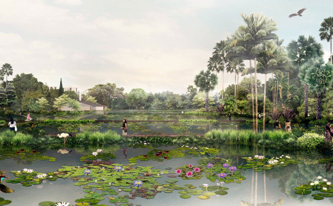 Aquatic Garden at Jurong Lake Gardens
