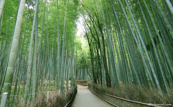 Visiting Kyoto With Kids: Family-Friendly Experiences And Things To Do 6 Arashiyama