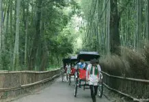 Visiting Kyoto with Kids