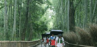 Visiting Kyoto with Kids