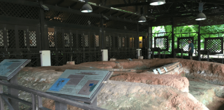 The Archaeological Dig, Singapore